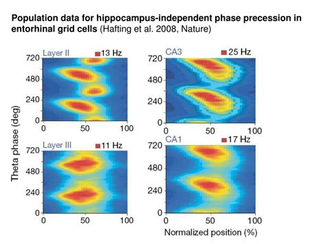 Image result for Neural Coding