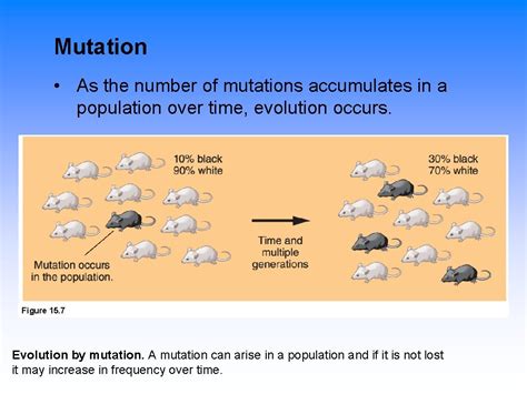 Mutation Evolution Examples 的图像结果
