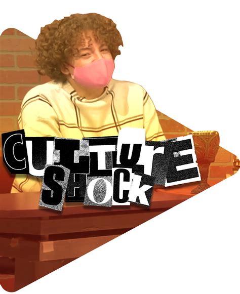 Culture Shock Example 的图像结果