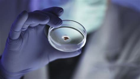 Home | Proteomica Proteomics and Metabolomics