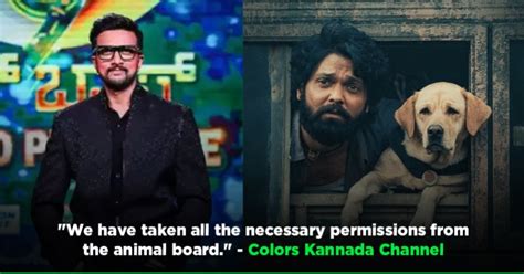 Move Over Humans, Bigg Boss Kannada 10 To Feature Dog From '777 Charlie ...