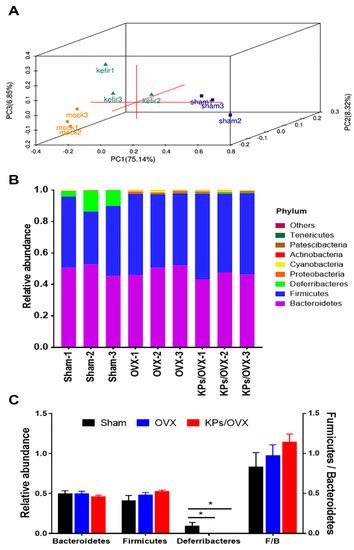 Kefir Peptides Prevent Estrogen Deficiency-Induced Bone Loss and ...