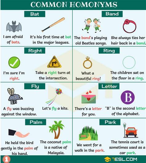 Image result for What Is Homonym a Examples