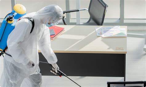 CleanX - Best Cleaning Services Company In Mumbai