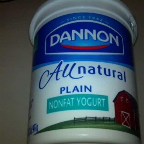 Dannon Plain Yogurt