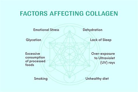 What Impacts Our Collagen Levels?