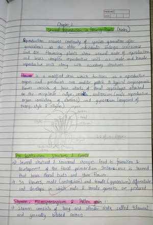 Image result for Cockroach Class 12