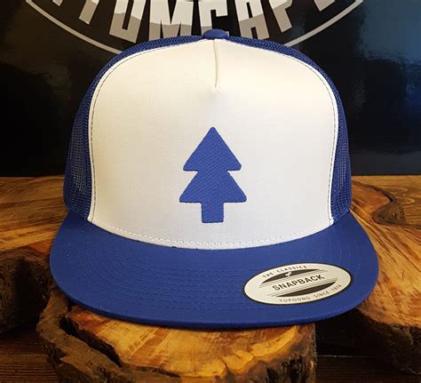 DIY Dipper Pines Hat From Gravity Falls — All For The, 46% OFF