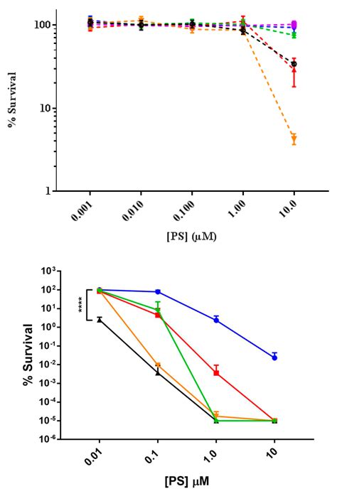 Influence of Cationic meso-Substituted Porphyrins on the Antimicrobial ...