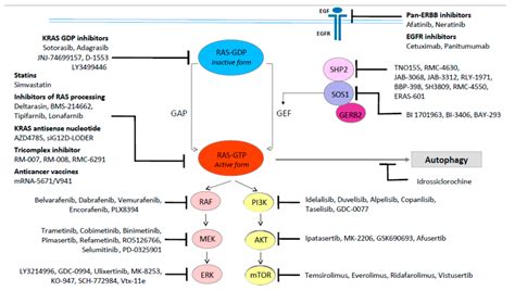 KRAS: A Druggable Target in Colon Cancer Patients