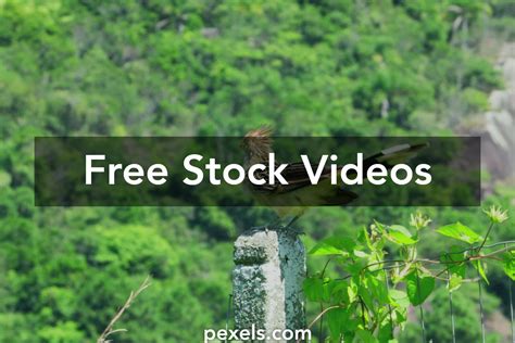 Function of Behavior Videos with Clients 的图像结果