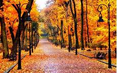 Fall Backgrounds 2019 by Autumn Wallpaper In 2019 Fall Pictures Autumn Fall Backgrounds 2019