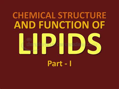 SOLUTION: CHEMICAL STRUCTURE AND FUNCTION OF LIPIDS - Studypool