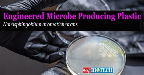 Engineered Microbe Producing Plastic | New Discovery