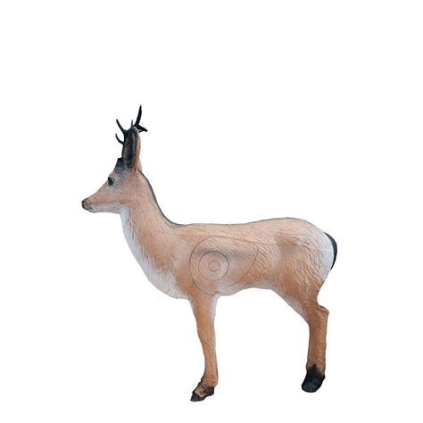 Wild Life 3D deer target - a realistic, affordable target