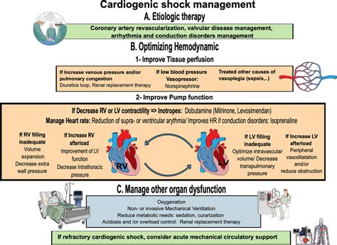 Image result for Cardiogenic Shock Algorithm