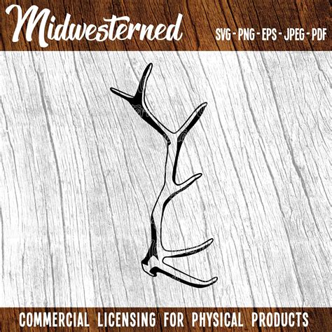 Elk Antler Symbolism at Gladys Roy blog
