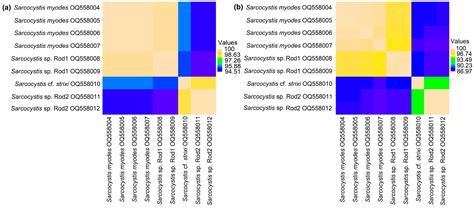 Protozoan Parasites of Sarcocystis spp. in Rodents from Commercial Orchards