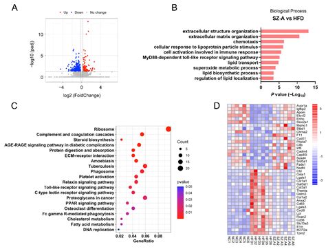 Ramulus Mori (Sangzhi) Alkaloids Alleviate High-Fat Diet-Induced ...