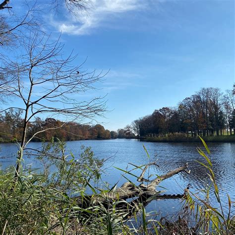 Rocky Point Beach and Park (2025) - All You Need to Know BEFORE You Go ...