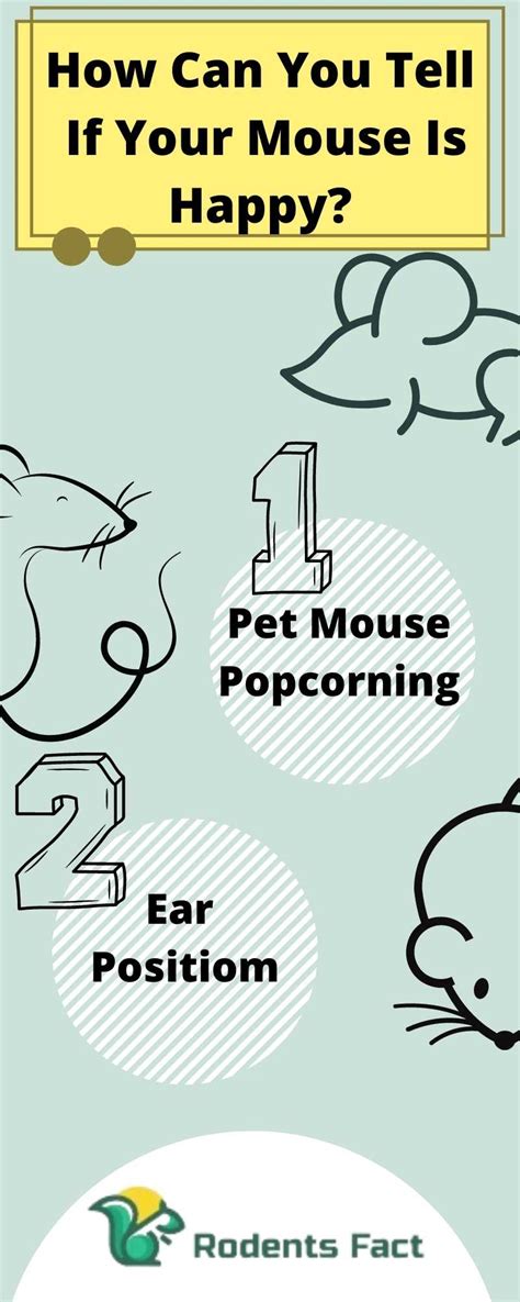 Image result for Mouse Facts