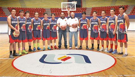 Gallos de la UAA participarán en la Liga de Baloncesto Universitario ...