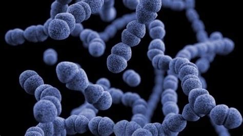 Image result for Pathogen Storm