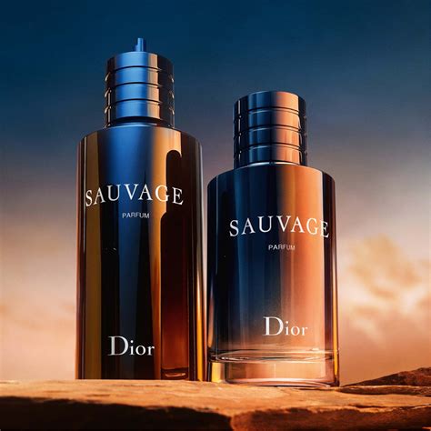 Christian Dior Perfumes for Men and Women at Best Prices – Perfume ...