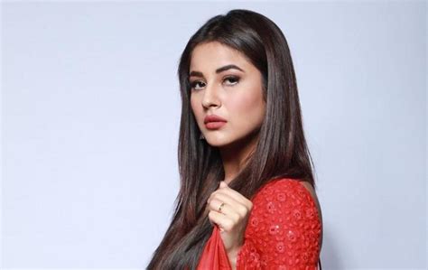 Bigg Boss 14: Amid the grand premiere, Shehnaaz Gill trends on internet ...