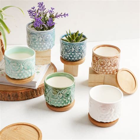 Owl Plant Pot Online - Premium Planter | Nestasia