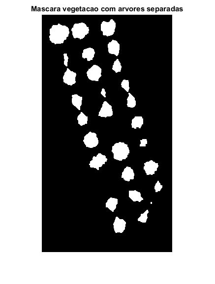 Segmentation Visualization Stack Overflow 的图像结果