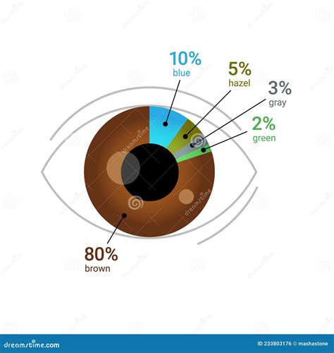 Eye Color Percentage Across the Globe. Human Eye with Pie Chart Diagram. Flat Vector ...