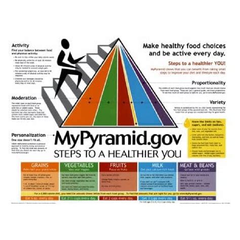 Image result for MyPyramid