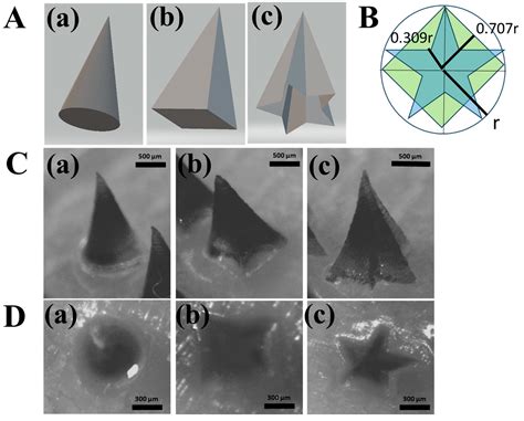 A Dissolving Microneedle Design for Poorly Water-Soluble Drugs for ...