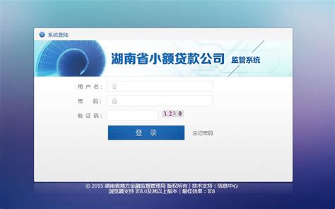 湖南省小额贷款监管系统_网站导航_极趣网