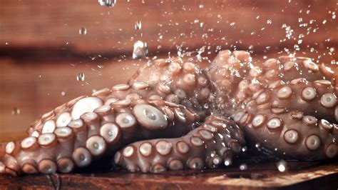 Image result for Octopus Animation