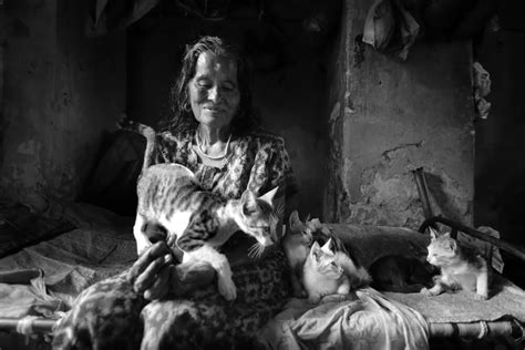 KR SUNIL - Mattancherry Series