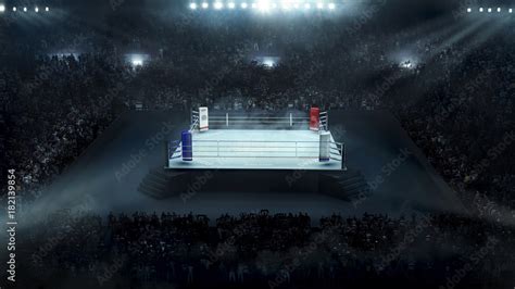 Boxing Concert 的图像结果
