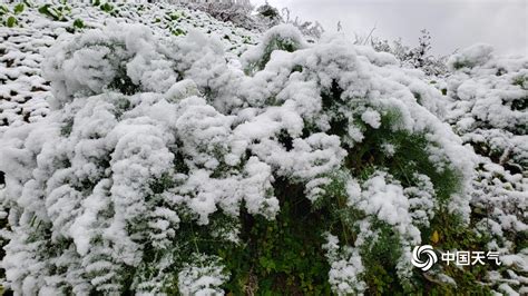 下雪啦！贵州多地今冬初雪如期而至 天地浑然一体-天气图集-中国天气网