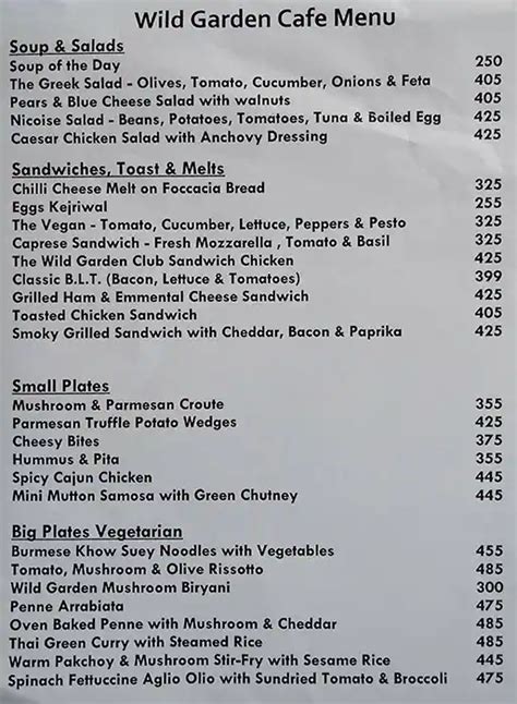 Menu at Wild Gardencafe, Chennai, Amethyst