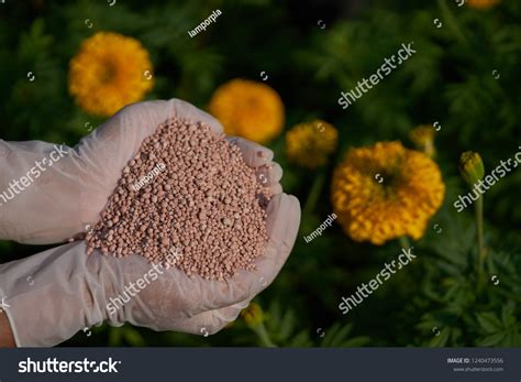 224 Sac Engrais Npk Images, Stock Photos & Vectors | Shutterstock