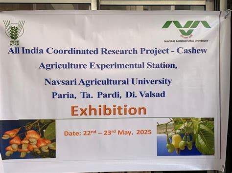 Mango competition at Navsari Agricultural University | નવસારી કૃષિ ...