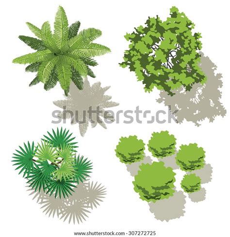 Image result for Palm Tree Map