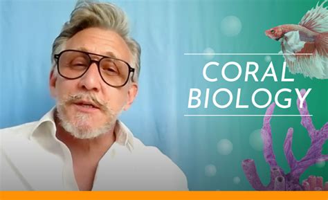 Prezi Tutorial for Beginners 的图像结果