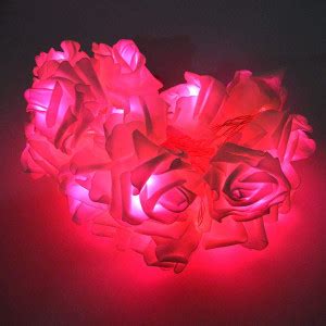 inooBeam 15 LEDs 6.93 m Red Steady Flower Rice Lights Price in India ...