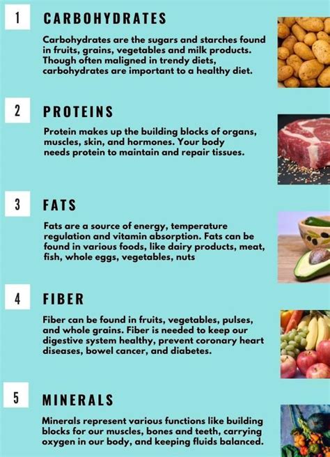five main nutrients of food and their importance and their images ...