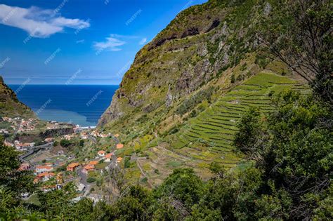Premium Photo | Beautiful views and wildlife landscapes from the Portuguese island of Madeira