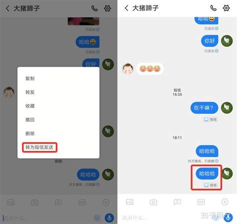 iPhone版微信4.2正式发布：新增视频通话功能-搜狐数码
