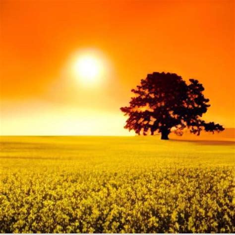 Becher Funeral Home | Ferdinand IN