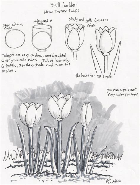 Image result for Drawing Tutorial for Flower